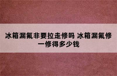 冰箱漏氟非要拉走修吗 冰箱漏氟修一修得多少钱